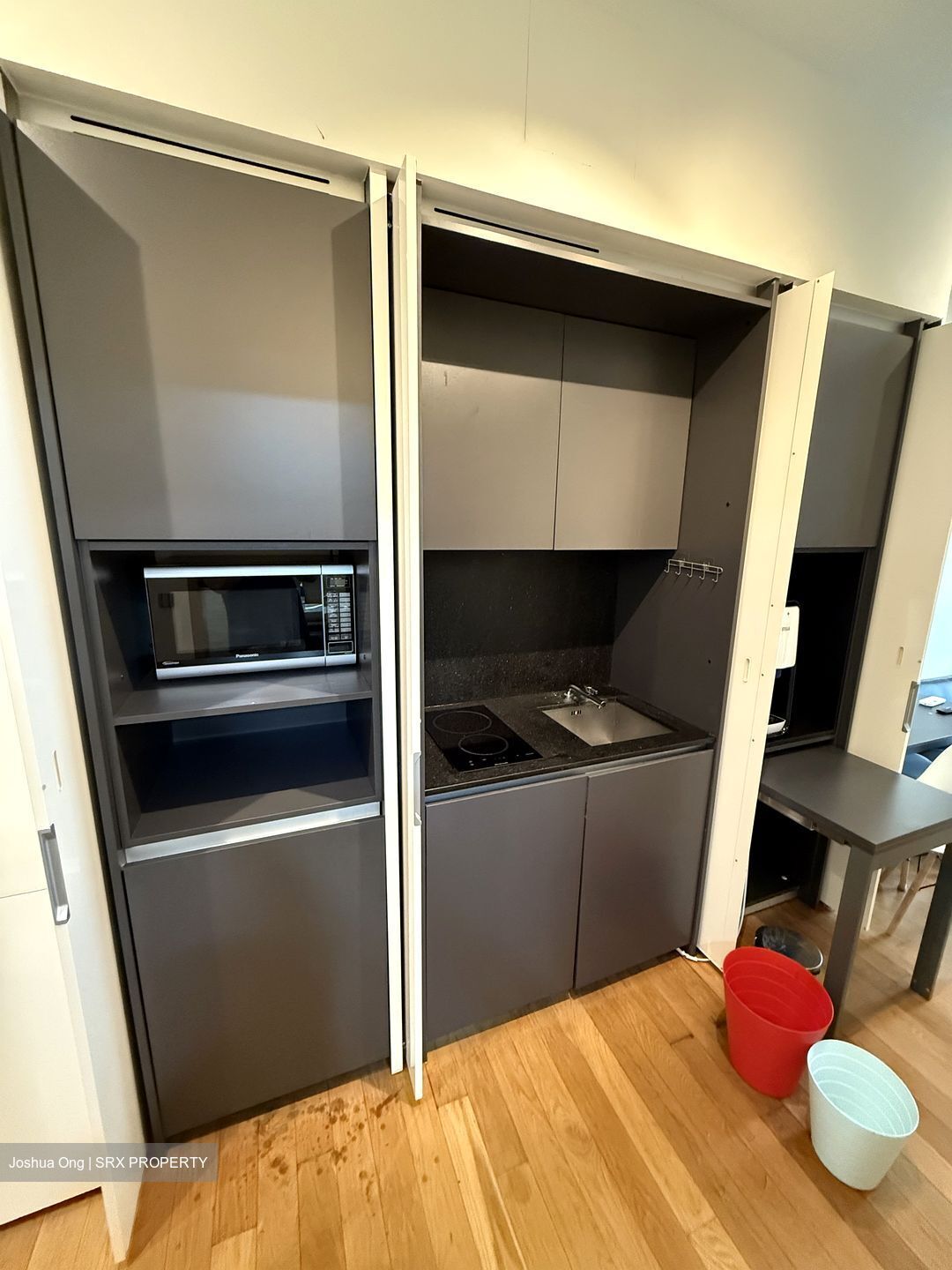 26 Newton (D11), Apartment #485923061